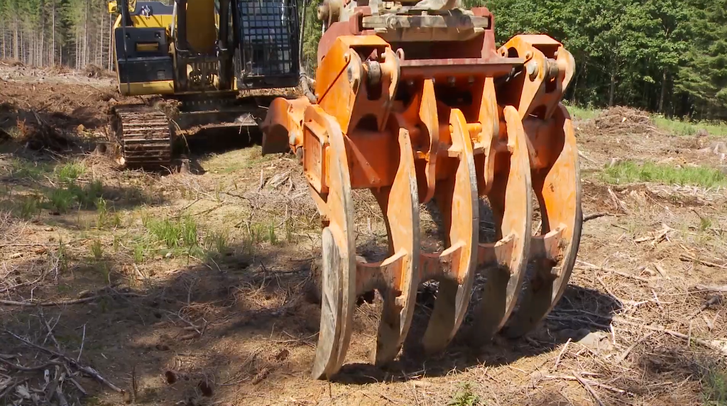 Meinel Forsttechnik - Westtech Woodcracker